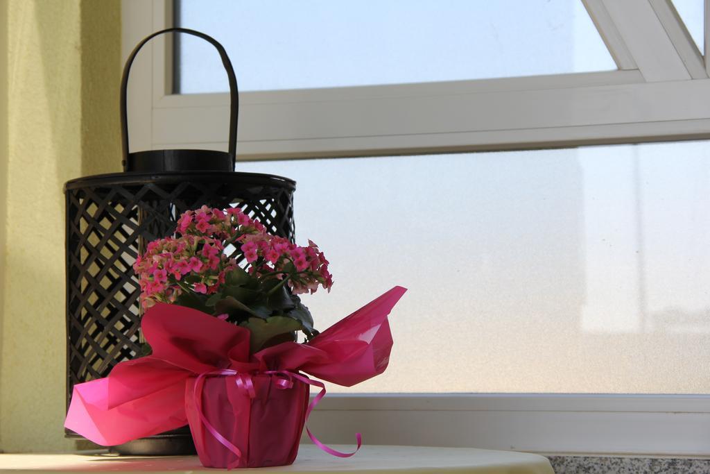 Apartments Villa Lili Umag Dış mekan fotoğraf